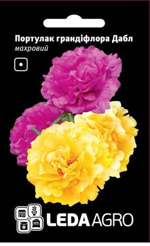 Портулак "Грандіфлора Дабл", махровий 0,05г. L (Hem Zaden BV Нідерланди)