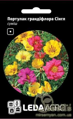 Портулак Портулак