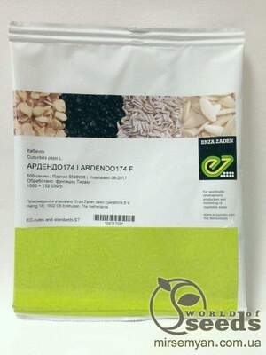 Насіння кабачка "Ардендо 174" F1, (Enza Zaden / Енза Заден) - 500 насінин. Насіння кабачка "Ардендо 174" F1, (Enza Zaden / Енза Заден) - 500 насінин.