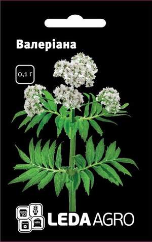 Валеріана 0,1 гр. L (Hem Zaden BV Нідерланди) Валеріана 0,1 гр. L (Hem Zaden BV Нідерланди)