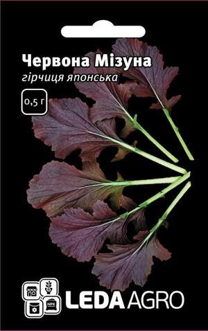 Гірчиця японська "Червона Мізуна" 0,5 гр. L (Hem Zaden BV Нідерланди) Гірчиця японська "Червона Мізуна" 0,5 гр. L (Hem Zaden BV Нідерланди)