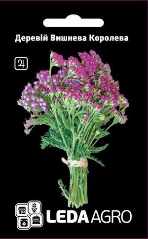 Деревій (Дерев) "Вишнева Королева" 0,1г L (Hem Zaden BV Netherlands)