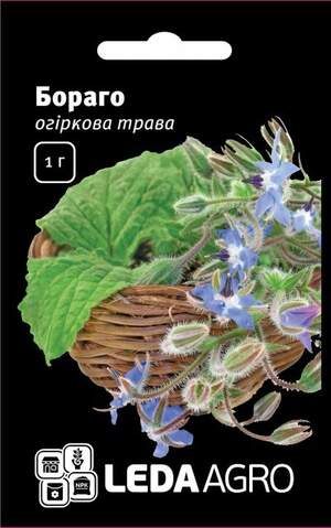 Огіркова трава "Бораго" 1 р. (Hem Zaden BV Netherlands)