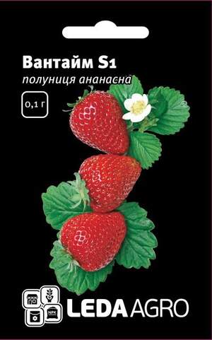 Полуниця ананасна "Вантайм S1" 0,1 г. L (Hem Zaden BV Netherlands)