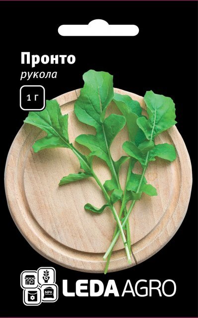 Рукола "Пронто" 1 р. L (Hem Zaden BV Netherlands) Рукола "Пронто" 1 р. L (Hem Zaden BV Netherlands)
