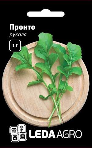 Рукола Рукола