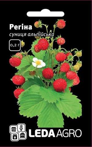 Суниця альпійська "Регіна" 0,2 г. L (Hem Zaden BV Netherlands)