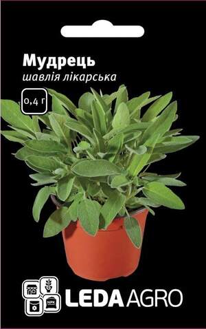 Шавлія лікарська "Мудрець" 0,4 г. L (Hem Zaden BV Netherlands)