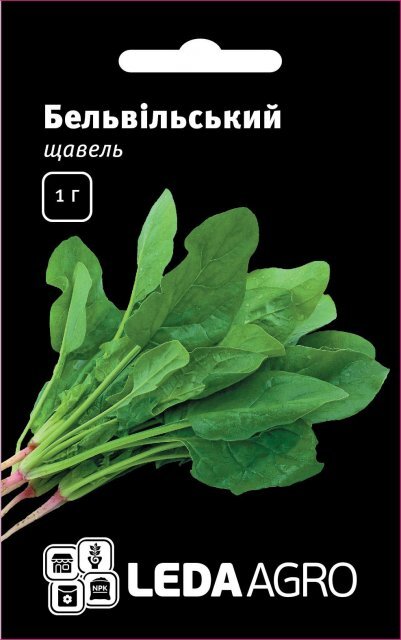 Щавель "Бельвільський" 1 р. L (Hem Zaden BV Netherlands) Щавель "Бельвільський" 1 р. L (Hem Zaden BV Netherlands)