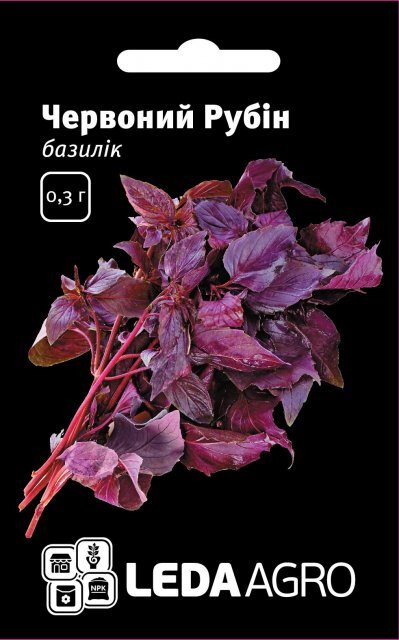 Базилік червоний Базилік червоний