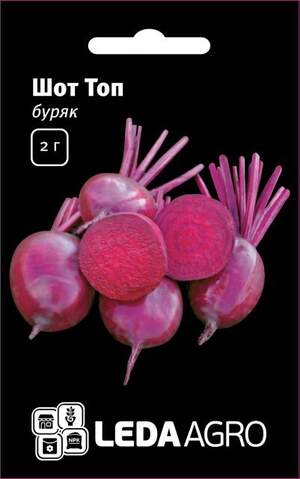 Буряк столовий "Шот Топ" F1 2гр. L (Hazera) Буряк столовий "Шот Топ" F1 2гр. L (Hazera)