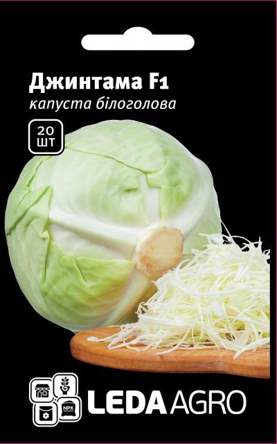 Капуста білокачанна, Капуста білокачанна,