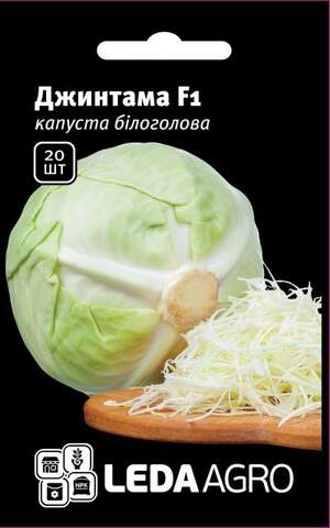 Капуста білокачанна, "Джинтама" F1 20 семена L (Рійк Цваан/Rijk Zwaan)