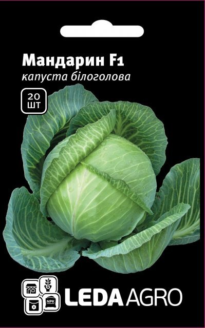Капуста білокачанна, "Мандарин" F1 20 семена L (Clause) Капуста білокачанна, "Мандарин" F1 20 семена L (Clause)