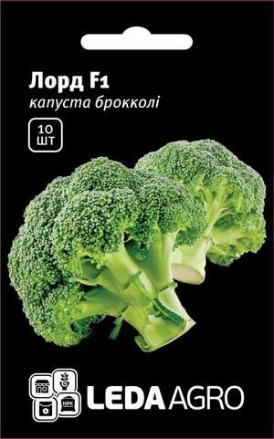 Капуста броколі "Лорд" F1 10 шт. L (Clause)