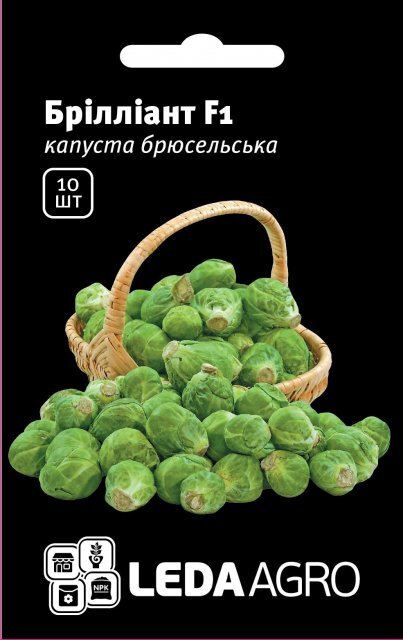 Капуста брюссельська Капуста брюссельська