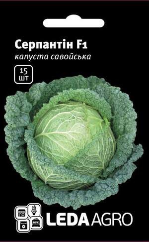 Капуста савойська "Серпантин" F1 15 семена (Hazera)