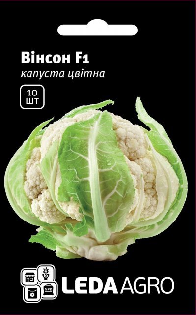 Капуста цвітна Капуста цвітна