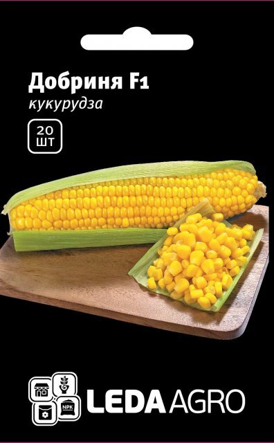 Кукурудза Кукурудза