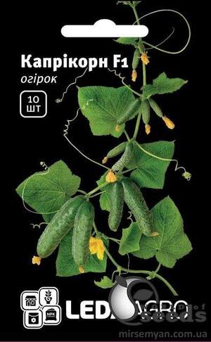 Огірок "Каприкорн" F1 10сім. (Yuksel Seeds) Л