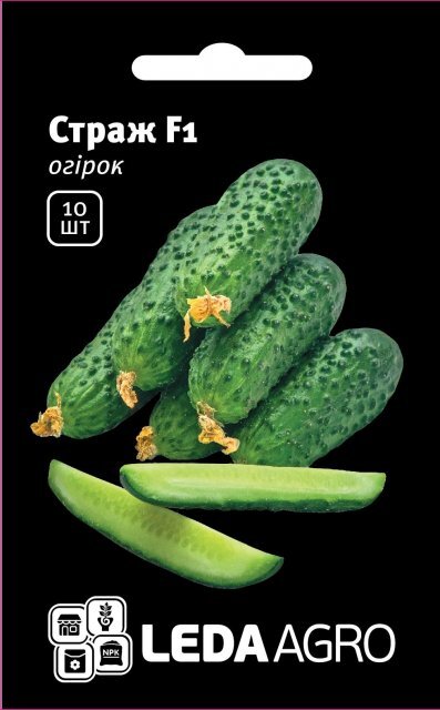 Огірок Страж F1 10нас. L (Yuksel Seeds) Огірок Страж F1 10нас. L (Yuksel Seeds)