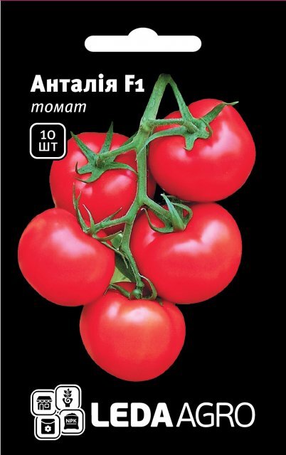 Томат "Анталія" F1 10 семена L (Yuksel Seeds) Томат "Анталія" F1 10 семена L (Yuksel Seeds)