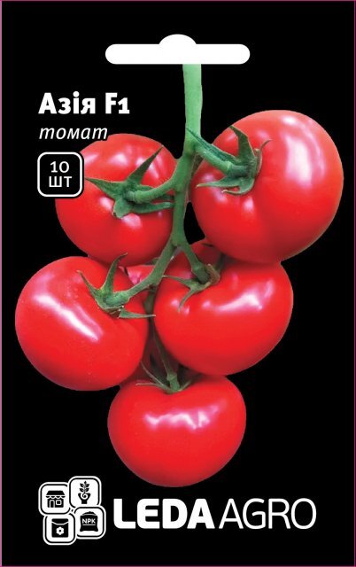 Томат Томат