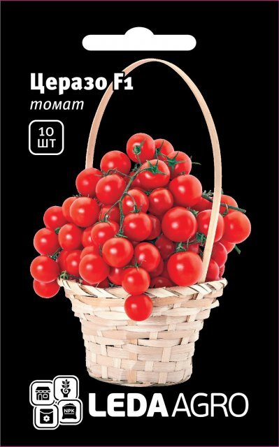 Томат Томат