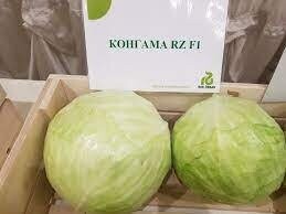 Капуста Капуста