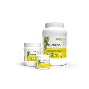 Добриво ГроГрін Капуста (GroGreen Brassica)  NPK 9-9-39 + 6,7 MgO + TE  1кг.