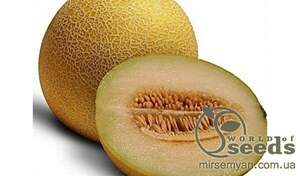 Диня "Голді" F1 5000 с. Клоз (Clause)