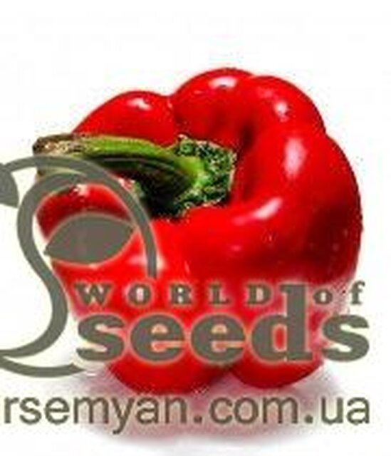 Перець "Банкерс" F1 - 500 насінин (Enza Zaden) Перець "Банкерс" F1 - 500 насінин (Enza Zaden)