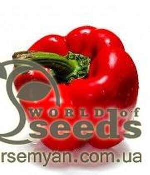 Перець "Банкерс" F1 - 500 насінин (Enza Zaden) Перець "Банкерс" F1 - 500 насінин (Enza Zaden)