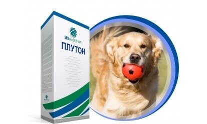 Насіння буряка цукрового Насіння буряка цукрового