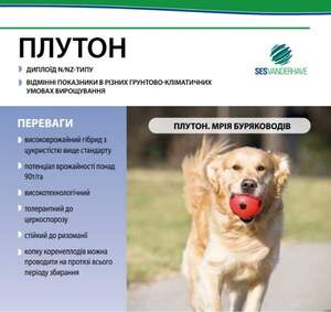 Насіння буряка цукрового "Плутон" SESVANDERHAVE (драже) Насіння буряка цукрового "Плутон" SESVANDERHAVE (драже)