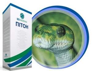 Насіння буряка цукрового "Пітон" SESVANDERHAVE (драже)