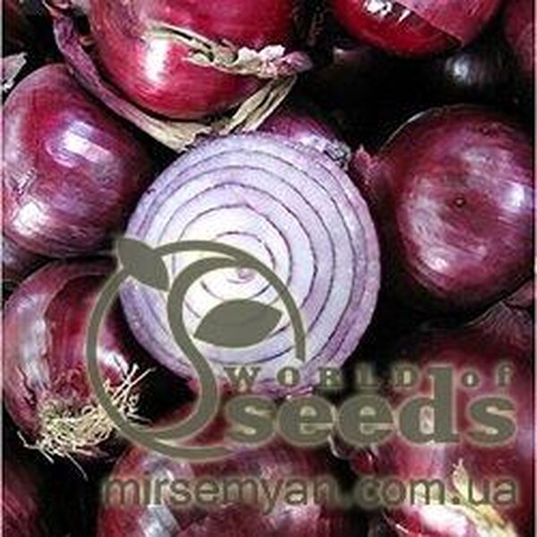 Цибуля "Ред Рум" 10 000 с. Бейо (Bejo) Цибуля "Ред Рум" 10 000 с. Бейо (Bejo)