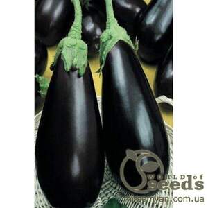 Баклажан "Блек Перл" F1 - 500 насінин. (Enza Zaden)