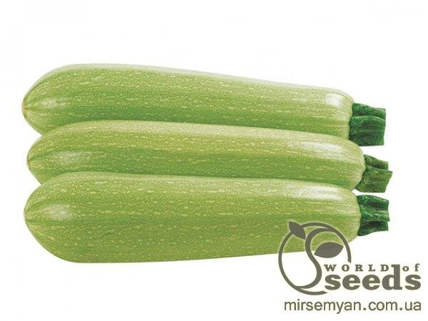 Насіння кабачка Насіння кабачка