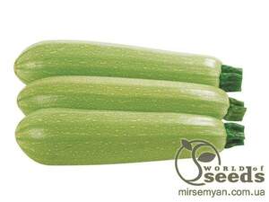 Насіння кабачка "Марселла" F1 500 насінин (Enza Zaden / Енза Заден)