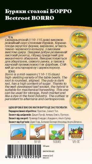 Буряк столовий "Борро" 100 гр. WoS