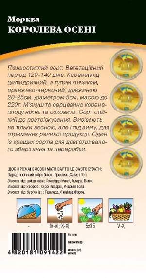 Морква Королева Осені 2 г. WoS Морква Королева Осені 2 г. WoS