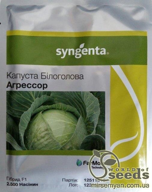 Капуста Агресор F1 2500 нас. (Syngenta) Капуста Агресор F1 2500 нас. (Syngenta)