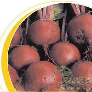 Буряк "Бонел" 10 кг. (Hazera)