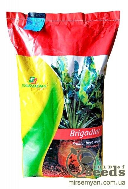 Насіння буряка кормового Бригадир, 8 кг (Holland Seeds) Насіння буряка кормового Бригадир, 8 кг (Holland Seeds)