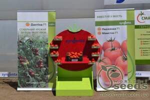 Томат Девонет F1 500 насінин, Сингента, (Syngenta) Томат Девонет F1 500 насінин, Сингента, (Syngenta)