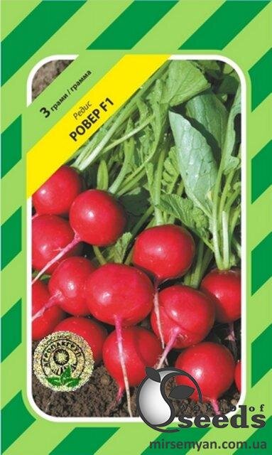 Редис "Ровер" 3 р. А Бейо (Bejo) Редис "Ровер" 3 р. А Бейо (Bejo)