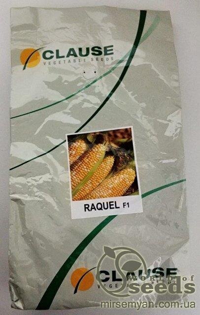Кукурудза Ракель F1 5000 нас. (Clause) Кукурудза Ракель F1 5000 нас. (Clause)