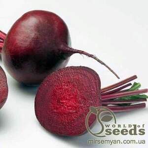 Буряк "Детройт" 500 г. (Griffaton) Буряк "Детройт" 500 г. (Griffaton)