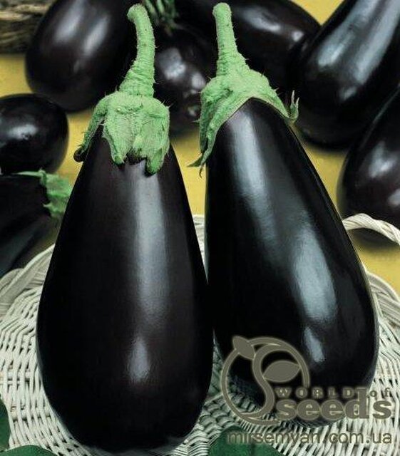 Баклажан Вернал F1, 1000 нас. (Hazera) Баклажан Вернал F1, 1000 нас. (Hazera)